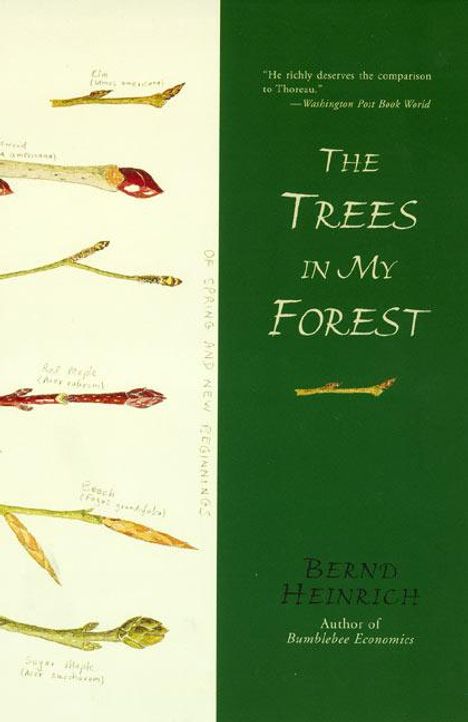 Bernd Heinrich: Trees in My Forest, The, Buch