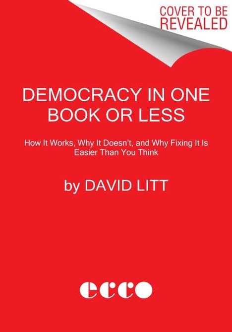 David Litt: Democracy in One Book or Less, Buch