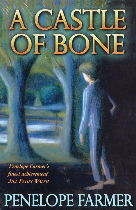 Penelope Farmer: A Castle Of Bone, Buch