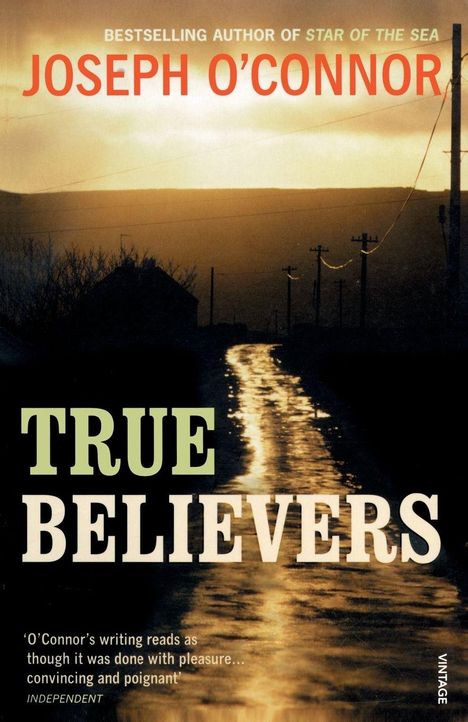 "TRUE BELIEVERS" von Joseph O'Connor. Ein langer, von Sonnenlicht beleuchteter Weg. Stilvolle Abendstimmung.