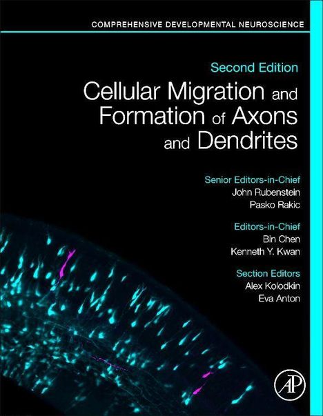 Bin Chen: Chen, B: Cellular Migration of Axons and Dendrites, Buch