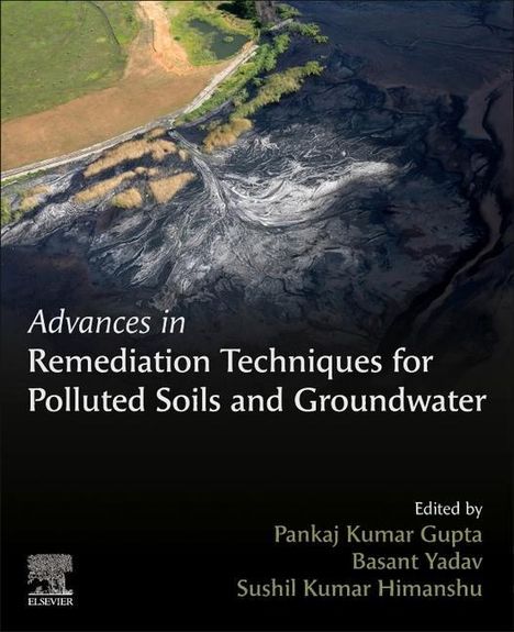 Advances in Remediation Techniques for Polluted Soils and Gr, Buch