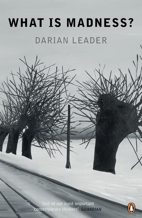 Darian Leader: What is Madness?, Buch