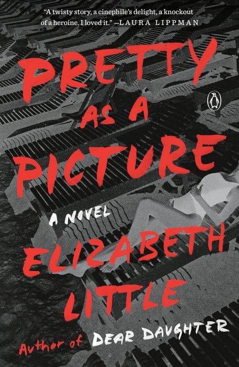 Elizabeth Little: Pretty as a Picture, Buch