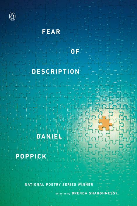 Daniel Poppick: Fear of Description, Buch