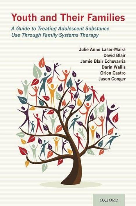 Julie Anne Laser-Maira: Youth and Their Families, Buch