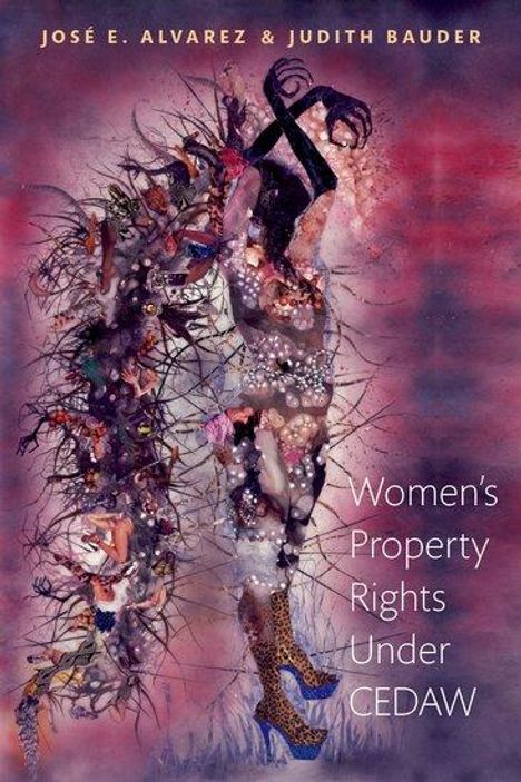 José E Alvarez: Women's Property Rights Under Cedaw, Buch