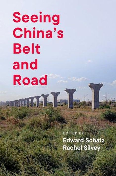 Seeing China's Belt and Road, Buch