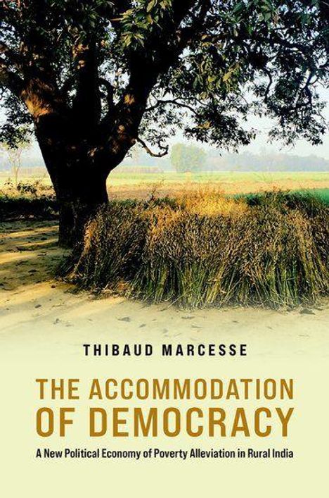 Thibauld Marcesse: The Accommodation of Democracy, Buch