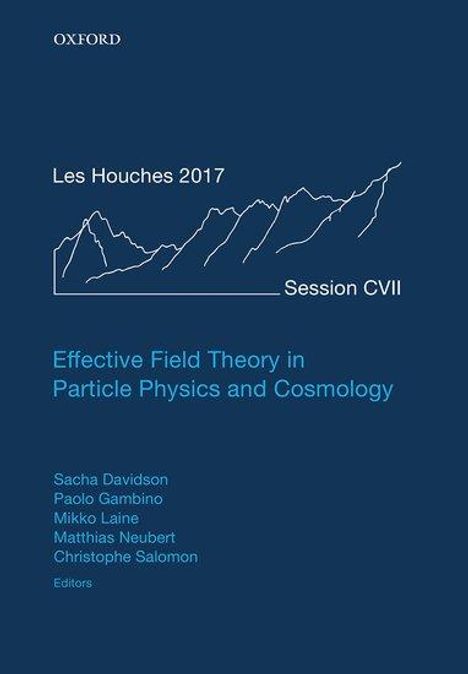 Effective Field Theory in Particle Physics and Cosmology, Buch