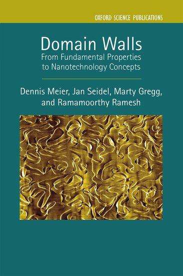 Dennis Meier: Domain Walls, Buch