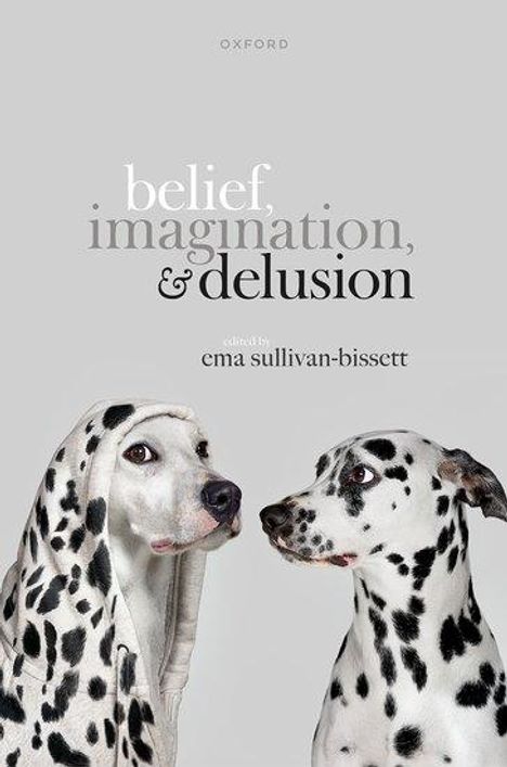 Belief, Imagination, and Delusion, Buch
