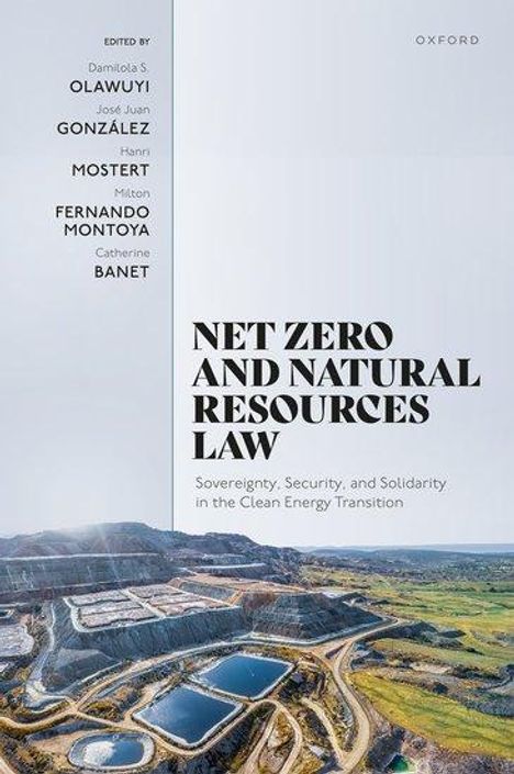 Damilola S Olawuyi: Net Zero and Natural Resources Law, Buch