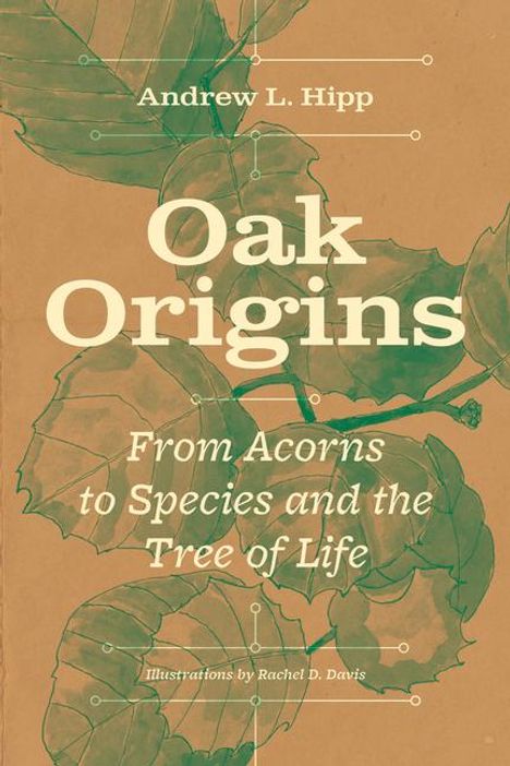 Andrew L Hipp: Oak Origins, Buch