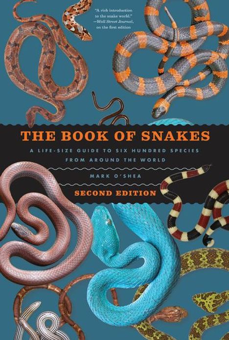 "THE BOOK OF SNAKES - A Life-Size Guide to Six Hundred Species From Around the World - Second Edition" Illustration von Schlangen.