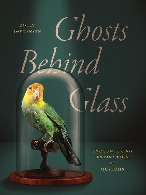 Dolly Jørgensen: Ghosts Behind Glass, Buch