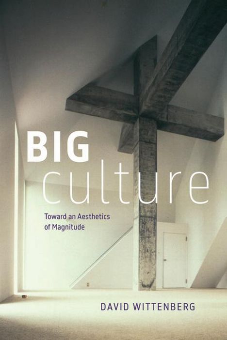 David Wittenberg: Big Culture, Buch