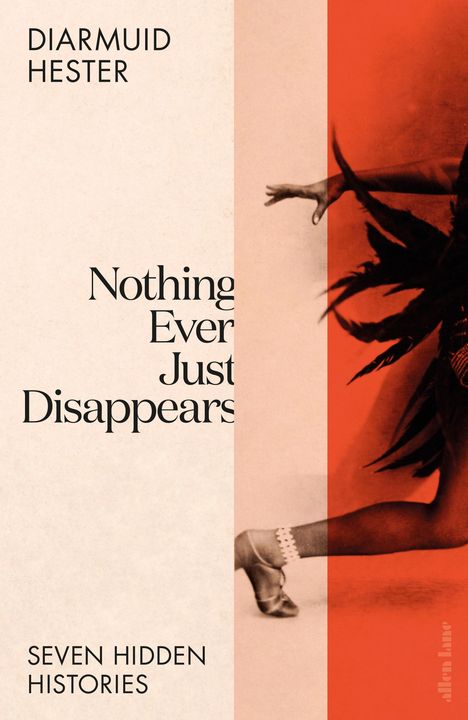 Diarmuid Hester: Nothing Ever Just Disappears, Buch