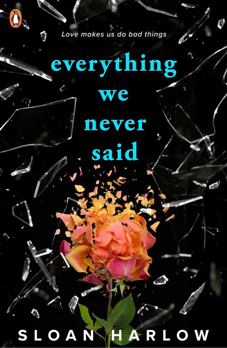 Sloan Harlow: Everything We Never Said, Buch