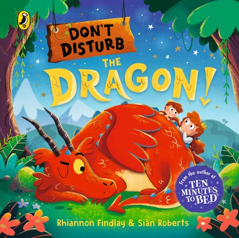 Rhiannon Findlay: Don't Disturb the Dragon, Buch