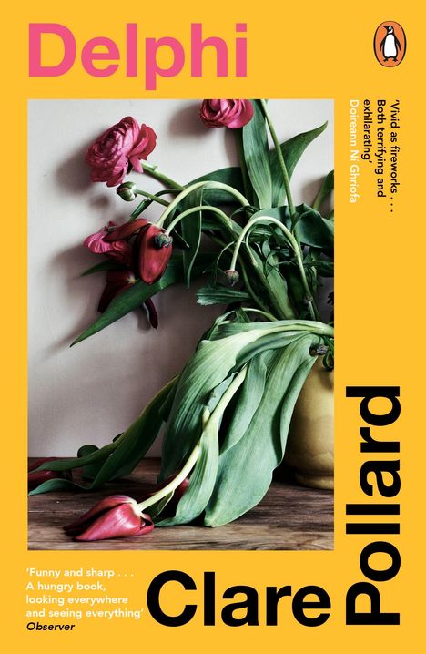 Clare Pollard: Delphi, Buch