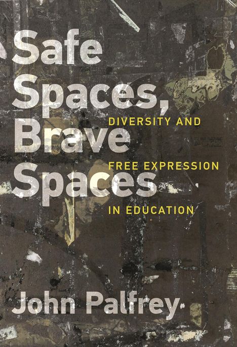 John Palfrey: Safe Spaces, Brave Spaces, Buch