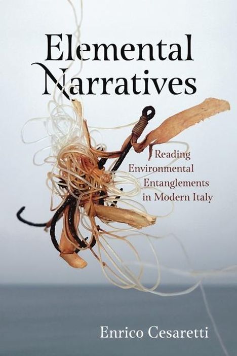 Enrico Cesaretti: Elemental Narratives, Buch