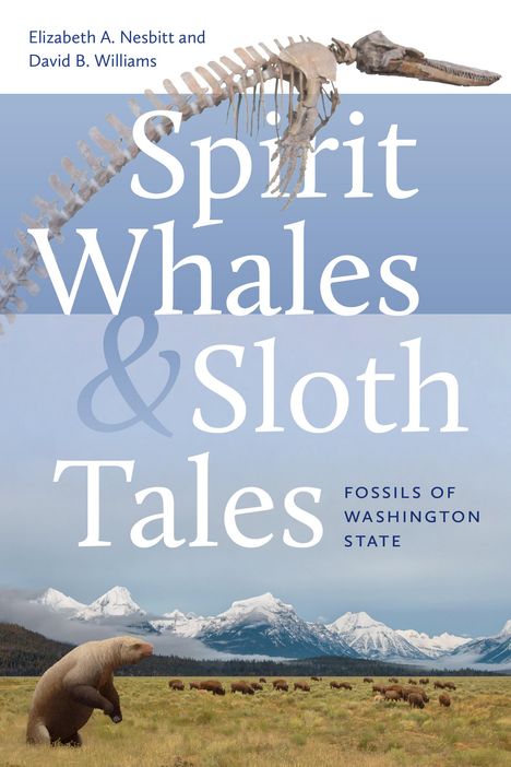 Elizabeth A Nesbitt: Spirit Whales and Sloth Tales, Buch