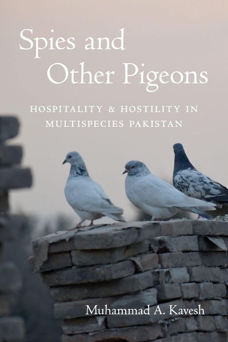 "Spies and Other Pigeons: Hospitality & Hostility in Multispecies Pakistan" von Muhammad A. Kavesh. Drei Tauben auf Steinmauer.