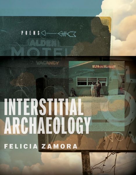 Felicia Zamora: Interstitial Archaeology, Buch