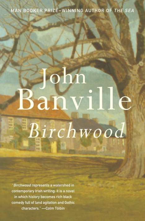 John Banville: Birchwood, Buch