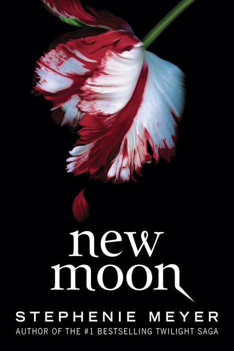 Stephenie Meyer: New Moon, Buch