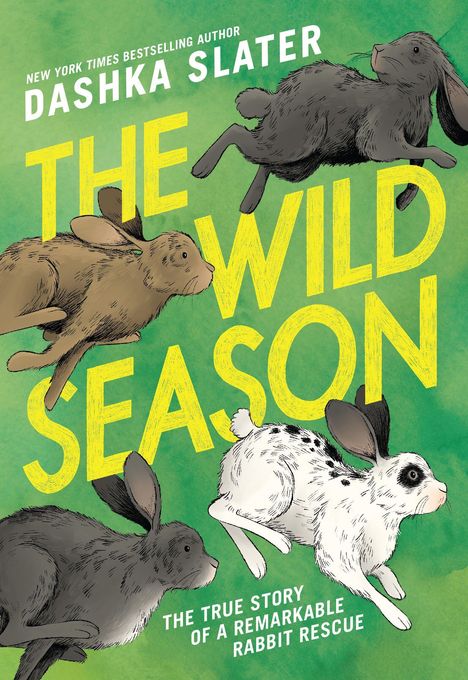 „The Wild Season“ von Dashka Slater, Illustration mit vier springenden Kaninchen auf grünem Hintergrund.