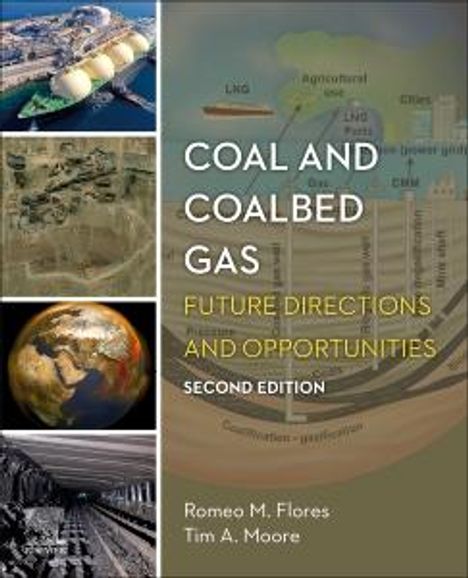 Romeo M Flores: Coal and Coalbed Gas, Buch