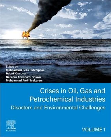Crises in Oil, Gas and Petrochemical Industries, Buch