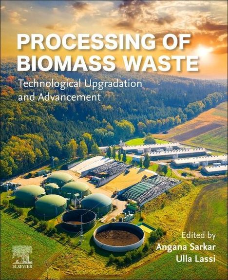Processing of Biomass Waste, Buch
