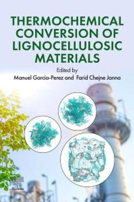 Thermochemical Conversion of Lignocellulosic Materials: Theory, Design, and Applications for the Future, Buch