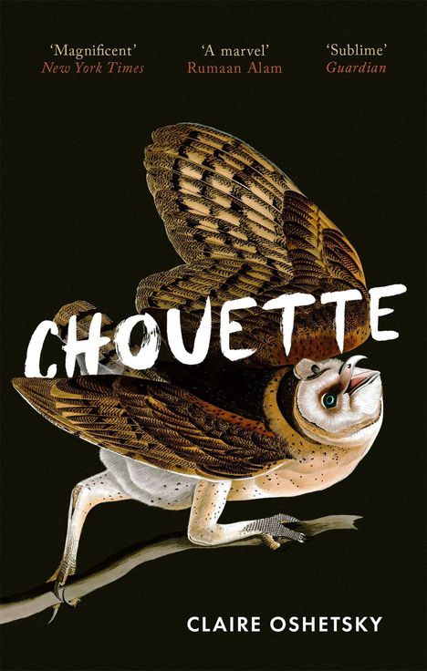 Claire Oshetsky: Chouette, Buch