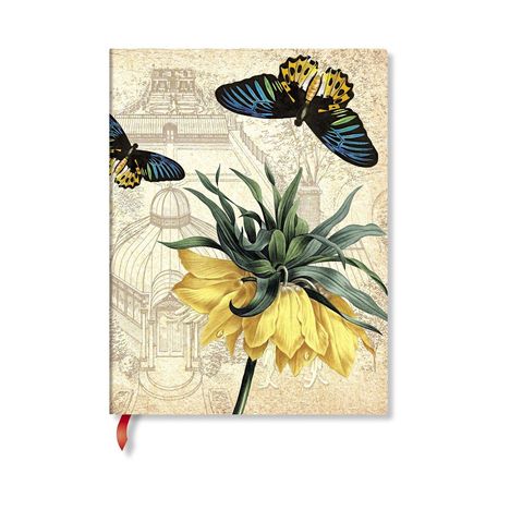 Illustration: Zwei bunte Schmetterlinge über einer großen gelben Blume mit Hintergrund eines architektonischen Zeichens.
