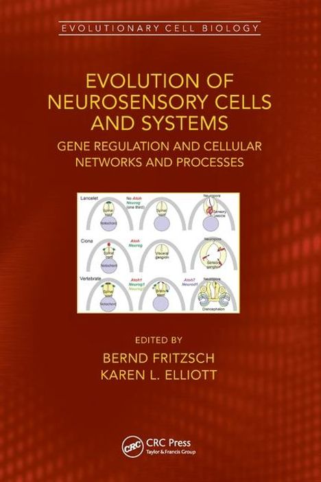 Fritzsch: Evolution of Neurosensory Cells and Systems, Buch