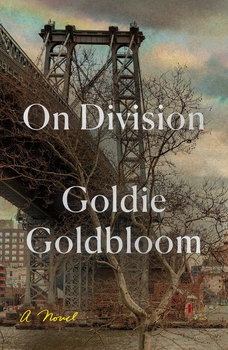 Goldie Goldbloom: On Division, Buch