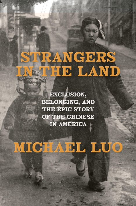 Michael Luo: Strangers in the Land, Buch