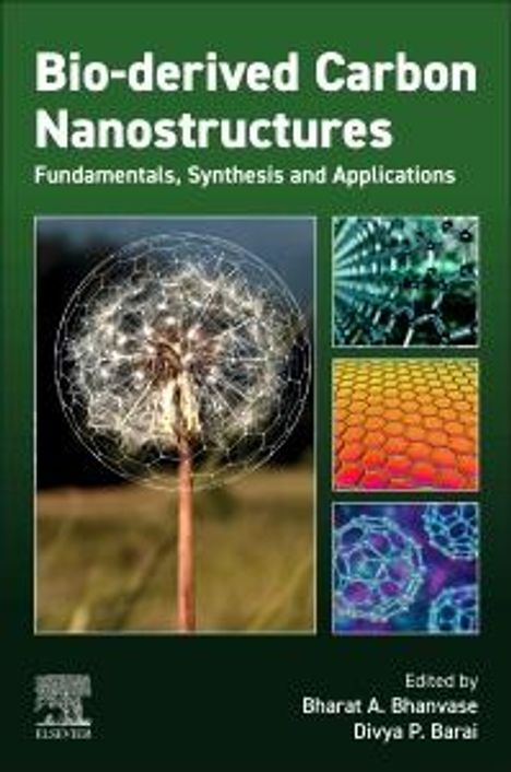 Bio-Derived Carbon Nanostructures, Buch