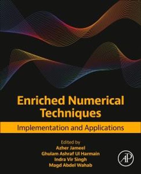 Enriched Numerical Techniques, Buch
