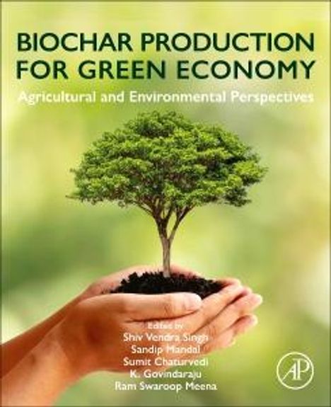 Biochar Production for Green Economy, Buch