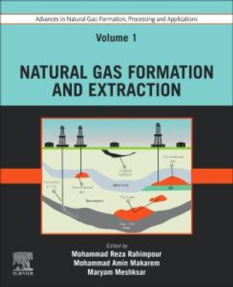 Advances in Natural Gas: Formation, Processing and Applications. Volume 1: Natural Gas Formation and Extraction, Buch