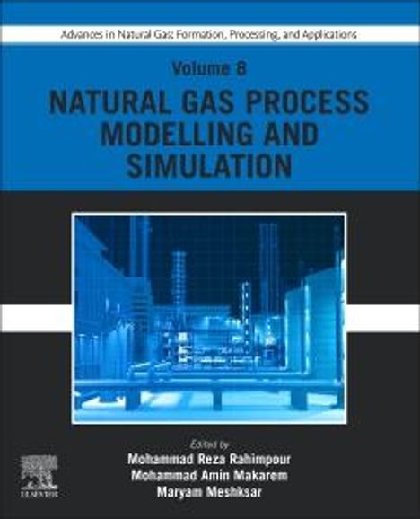 Advances in Natural Gas: Formation, Processing, and Applications. Volume 8: Natural Gas Process Modelling and Simulation, Buch