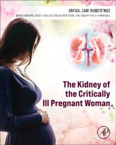 The Kidney of the Critically Ill Pregnant Woman, Buch