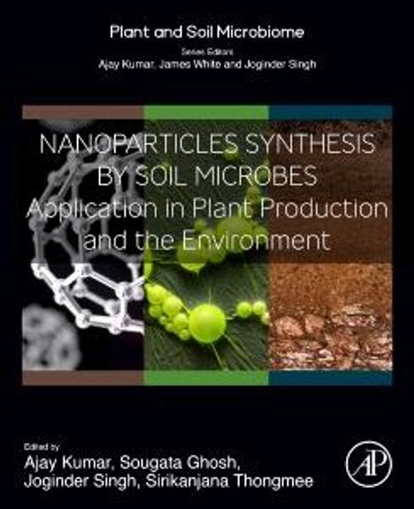 Nanoparticles Synthesis by Soil Microbes, Buch