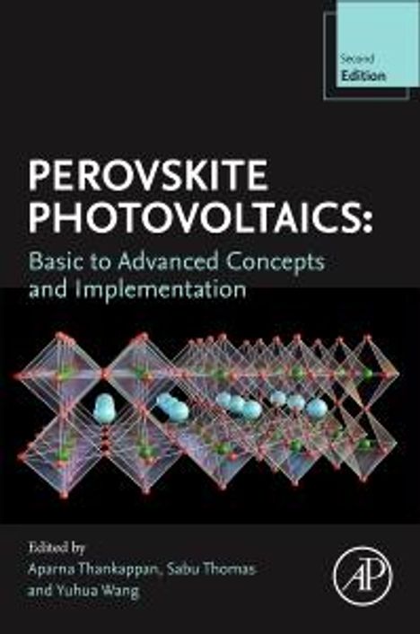 Perovskite Photovoltaics, Buch